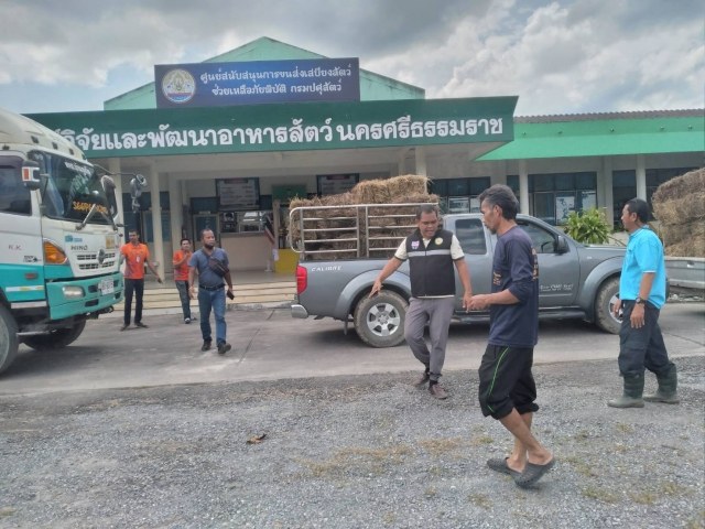 โครงการแจกหญ้าแห้ง