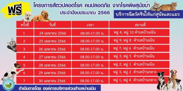 ตารางการฉีดวัคซีนให้แก่สุุนัขและแมว ประจำปี 2566